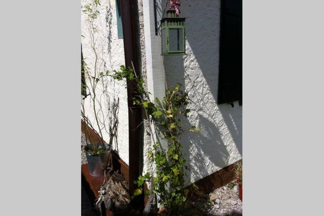 Haus Tulpe Apartment Strobl Exterior foto