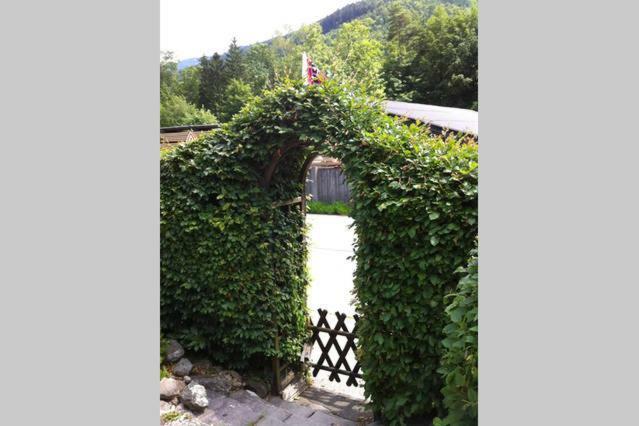 Haus Tulpe Apartment Strobl Exterior foto